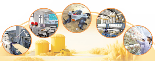 沪深投 粮仓里的新科技（经济聚焦）